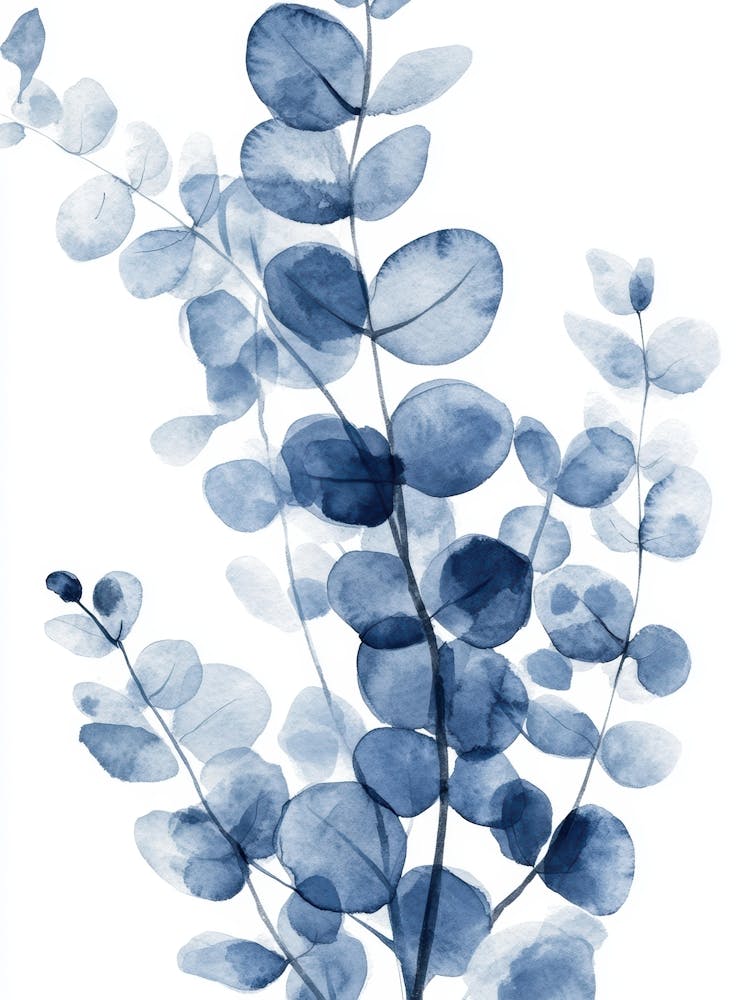 Blue Eucalyptus 3
