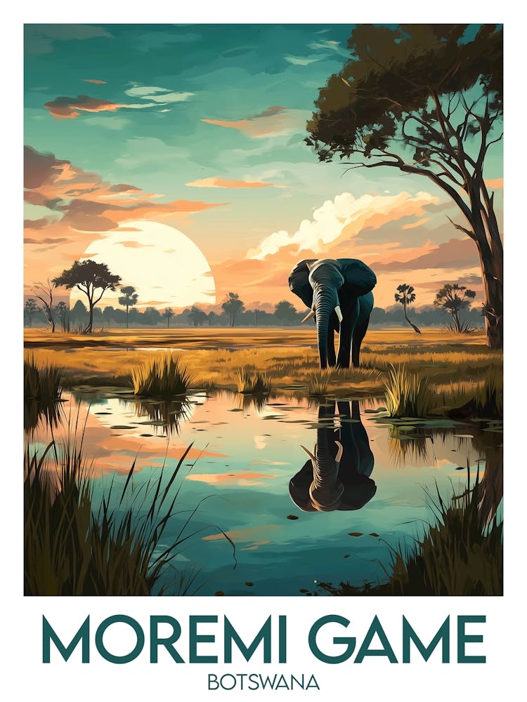 Affiche de voyage Moremi Game
