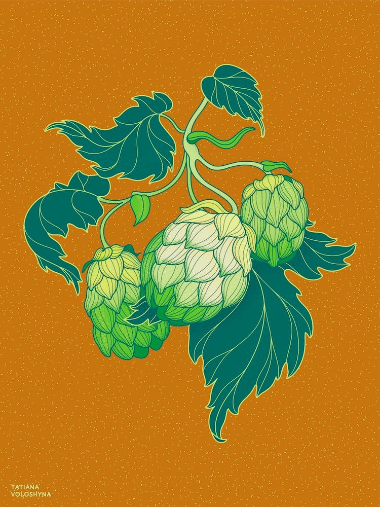 Green Hop