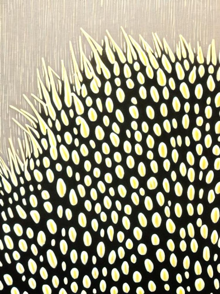 Acropora Lokani Ii Linocut