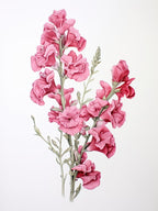 Snapdragons Flower Vintage Botanical 1