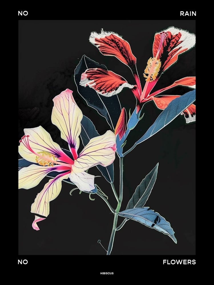 No Rain No Flowers Poster Hibiscus 4