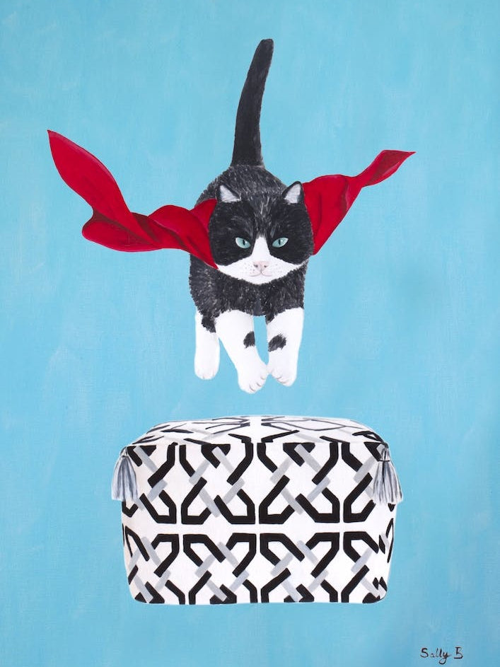 Flying Black White Cat Over Pouf