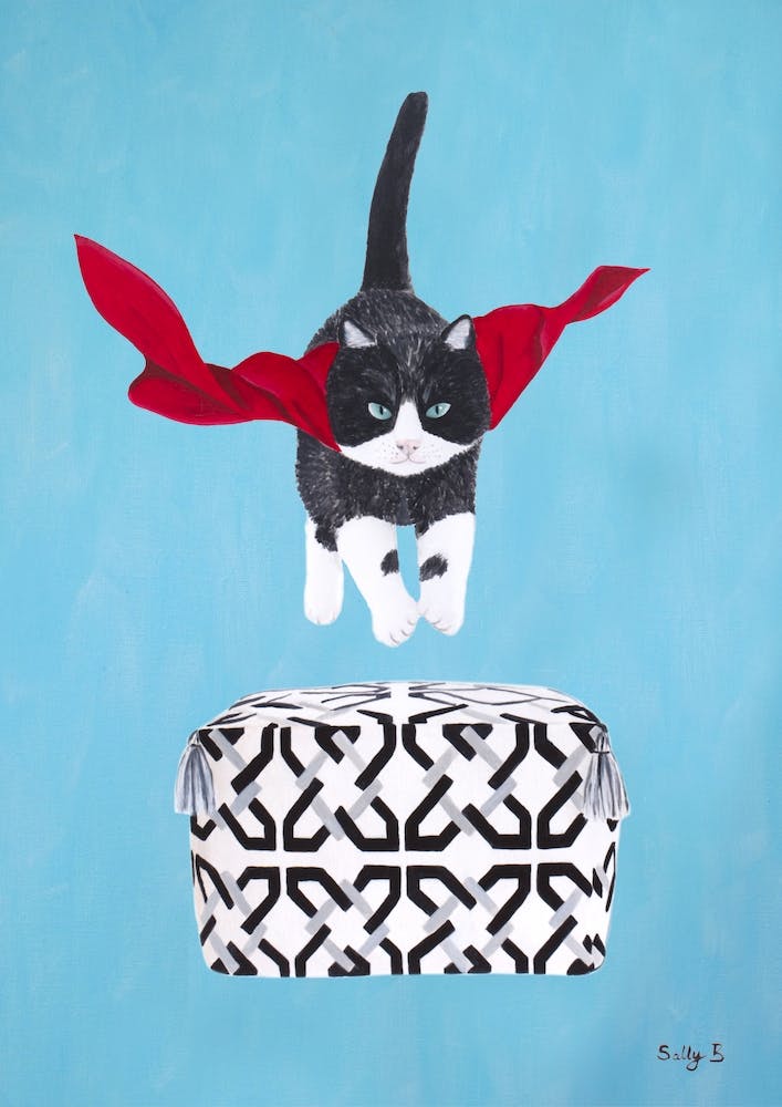 Flying Black White Cat Over Pouf