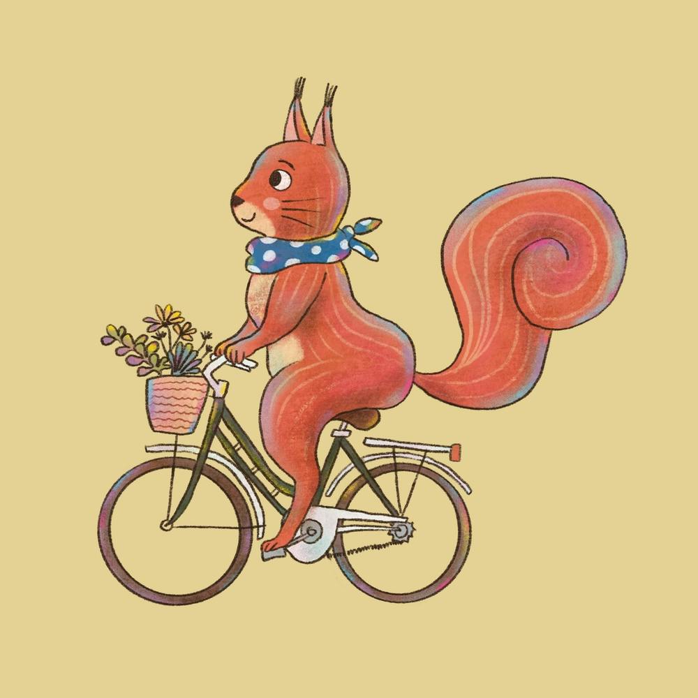 Flower Shopping Squirrel On A Bicycle Animals on Vehicles