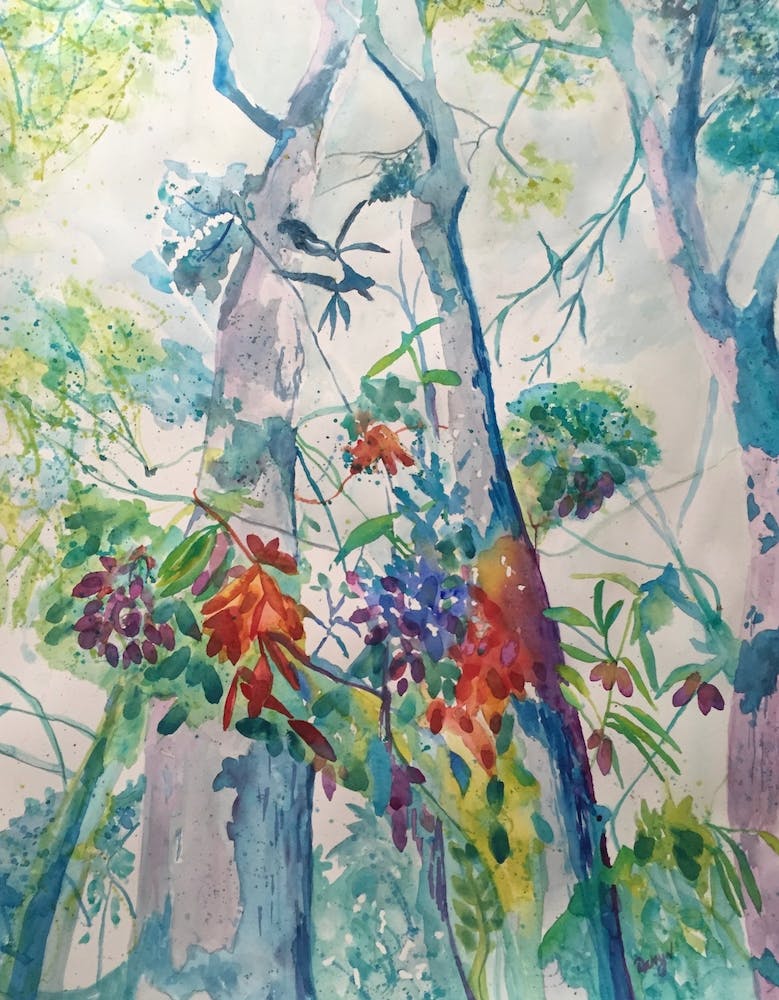 Rainforest Dreaming 2
