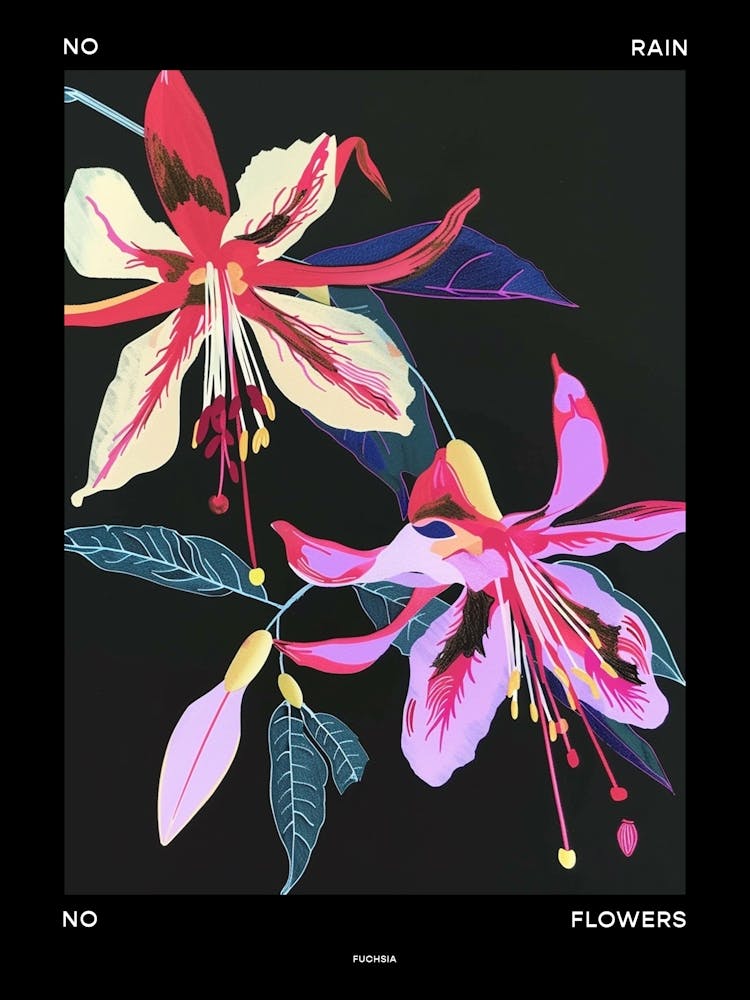 No Rain No Flowers Poster Fuchsia 3