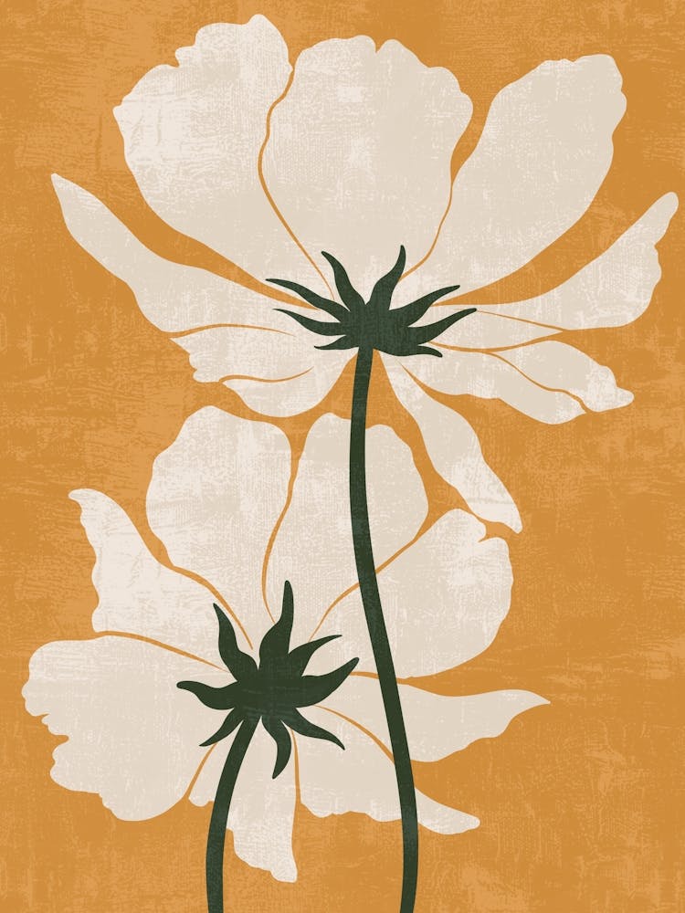 White Poppy Canvas Print