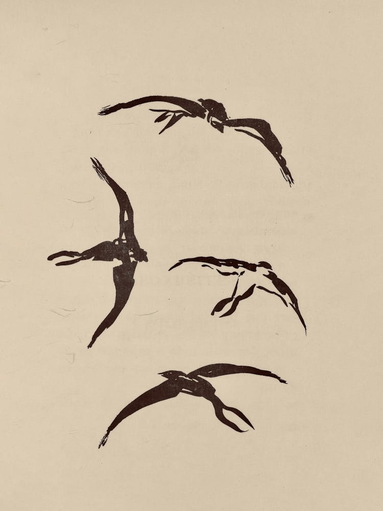 Birds In Flight 2
