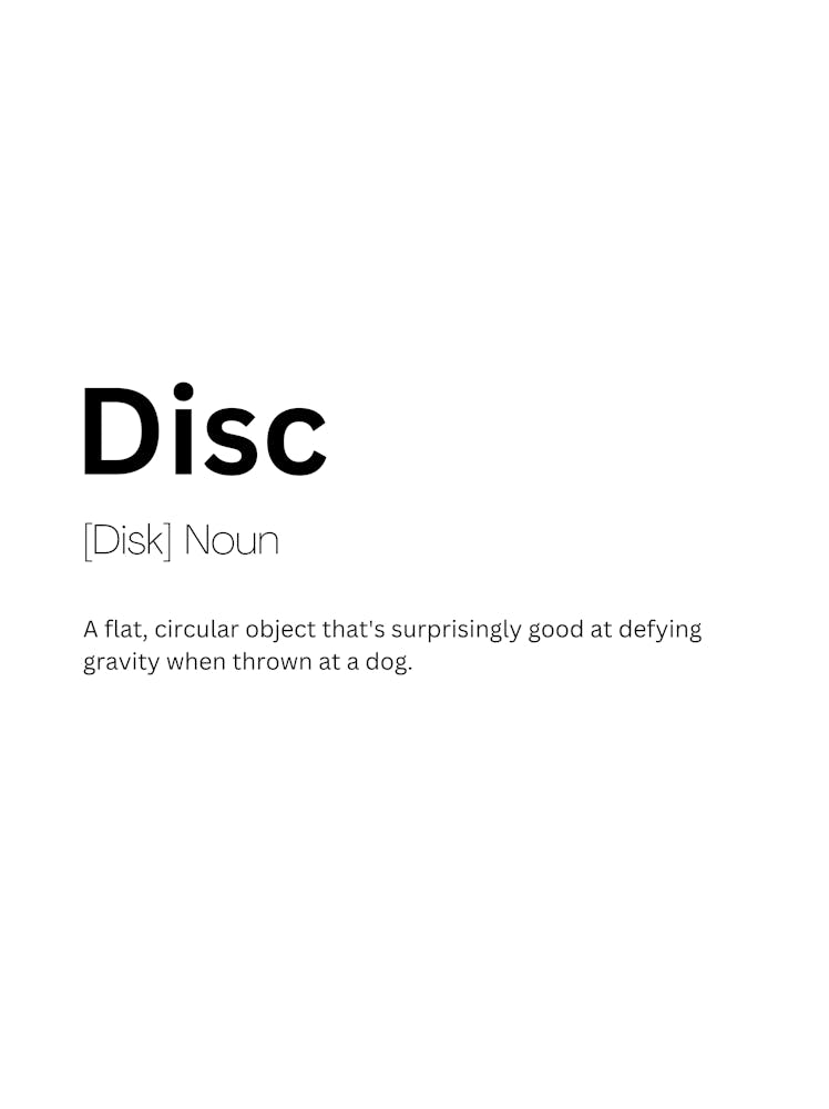 Disc Definition Meaning