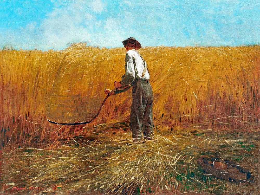 The Veteran In A New Field (1865), Winslow Homer
