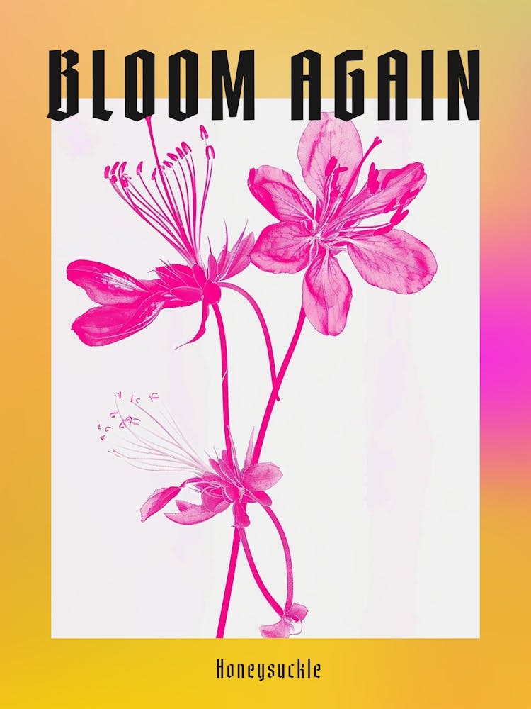 Hot Pink Honeysuckle 1 Poster