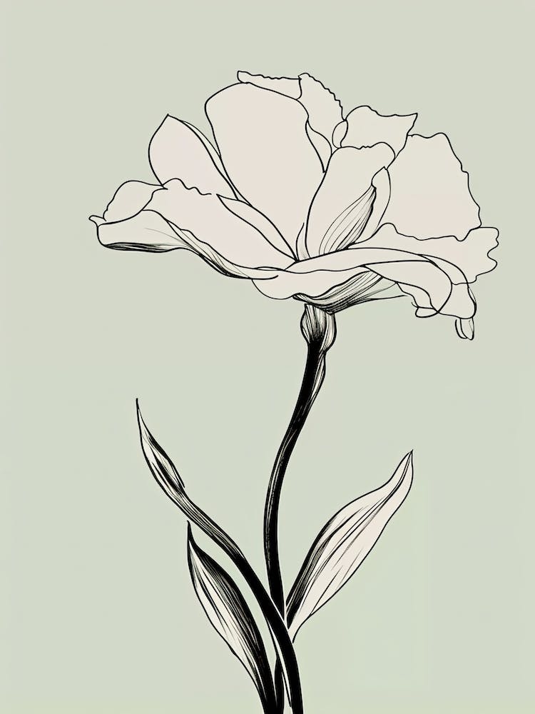 Gladioli Line Art Flowers Illustration Neutral 6