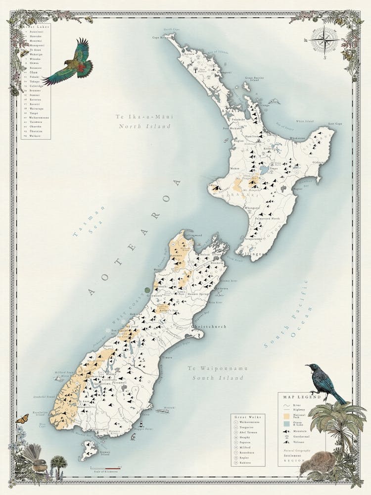 Nz