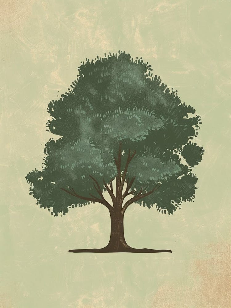 Walnut Tree Minimal Japandi Illustration 3