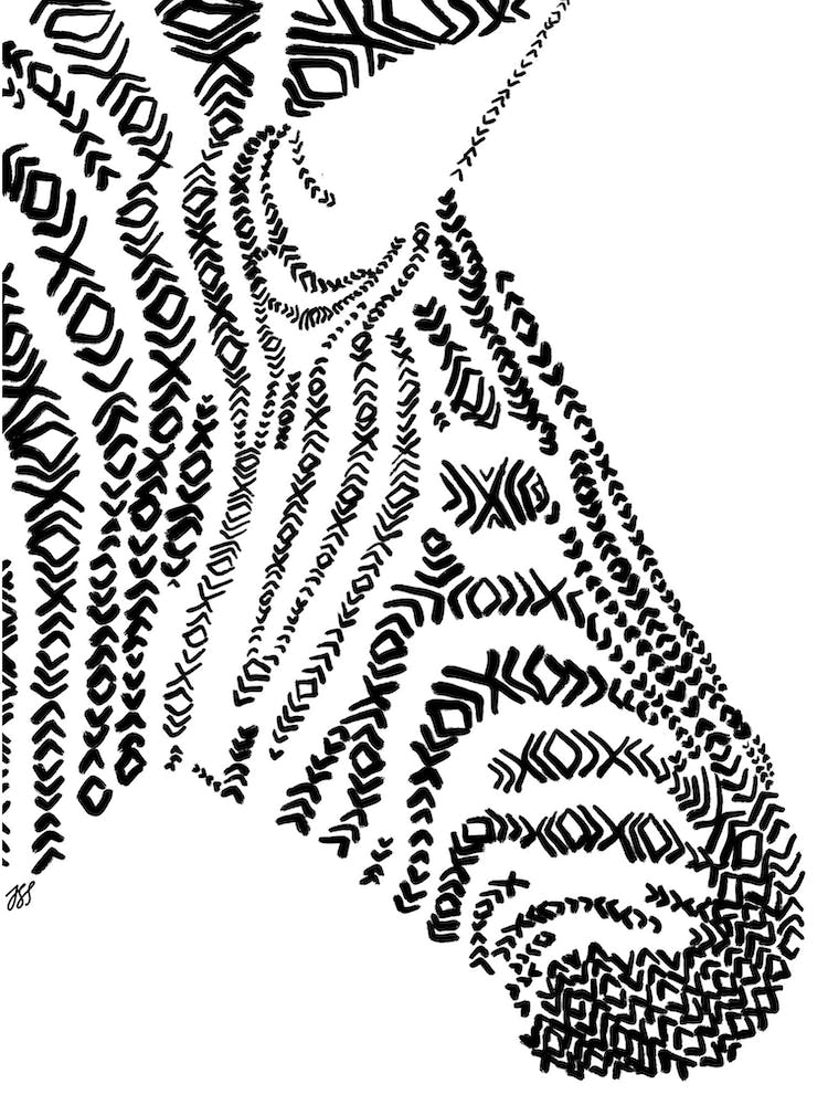Zebra