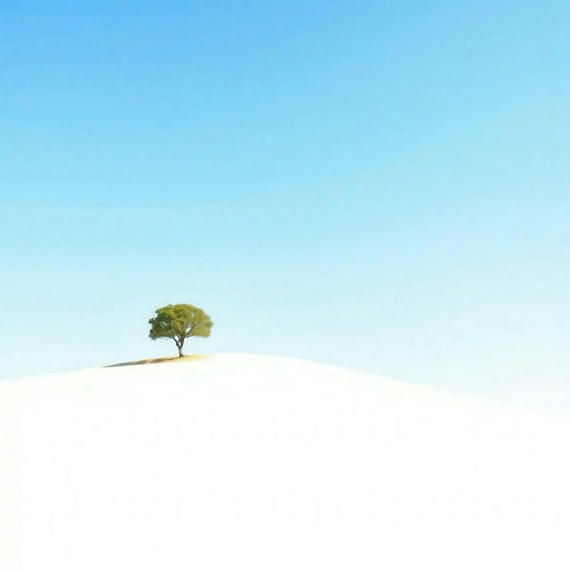 Lone Tree On A Hill 1