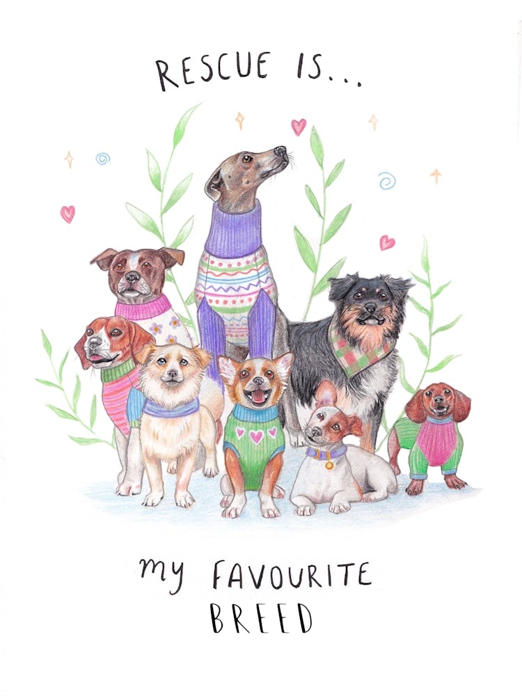 Rescue Is My Favourite