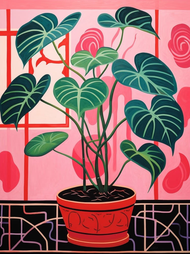 Pink And Red Plant Illustration Philodendron 6