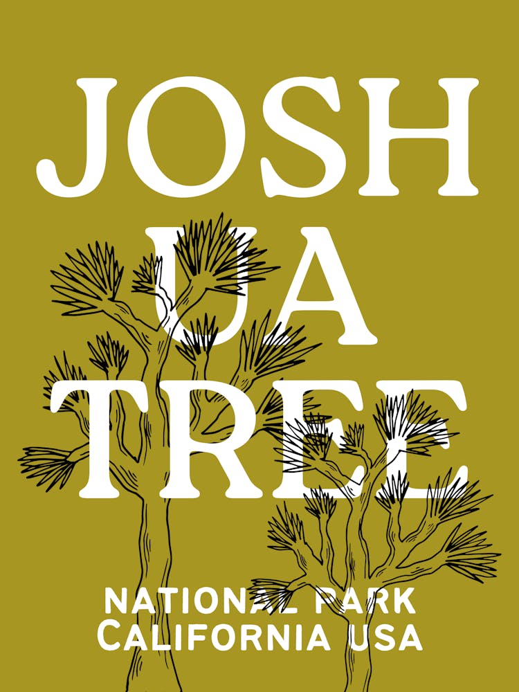 Joshua Tree National Park | California Desert Travel Landscape Scenery 1