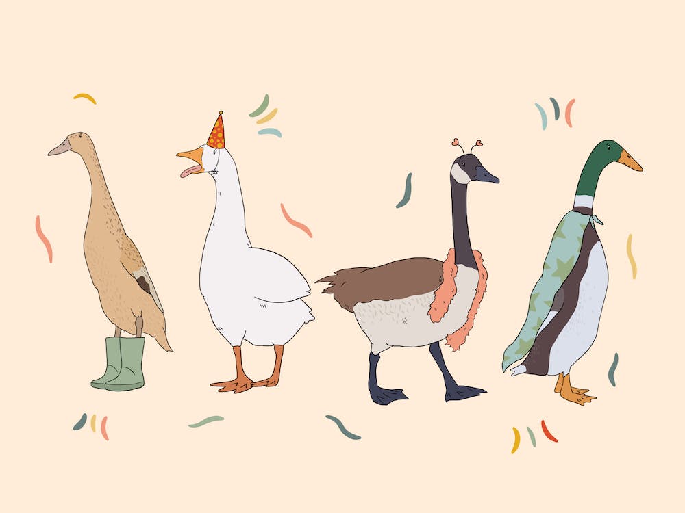Party Ducks