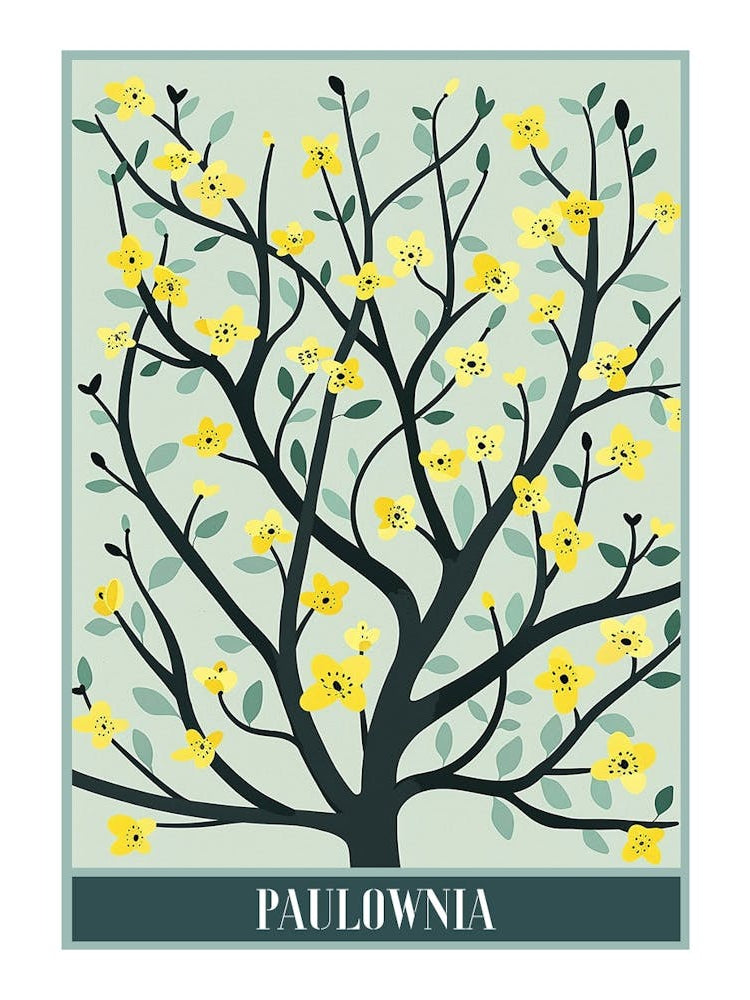Paulownia Tree Illustration Flat 4 Poster