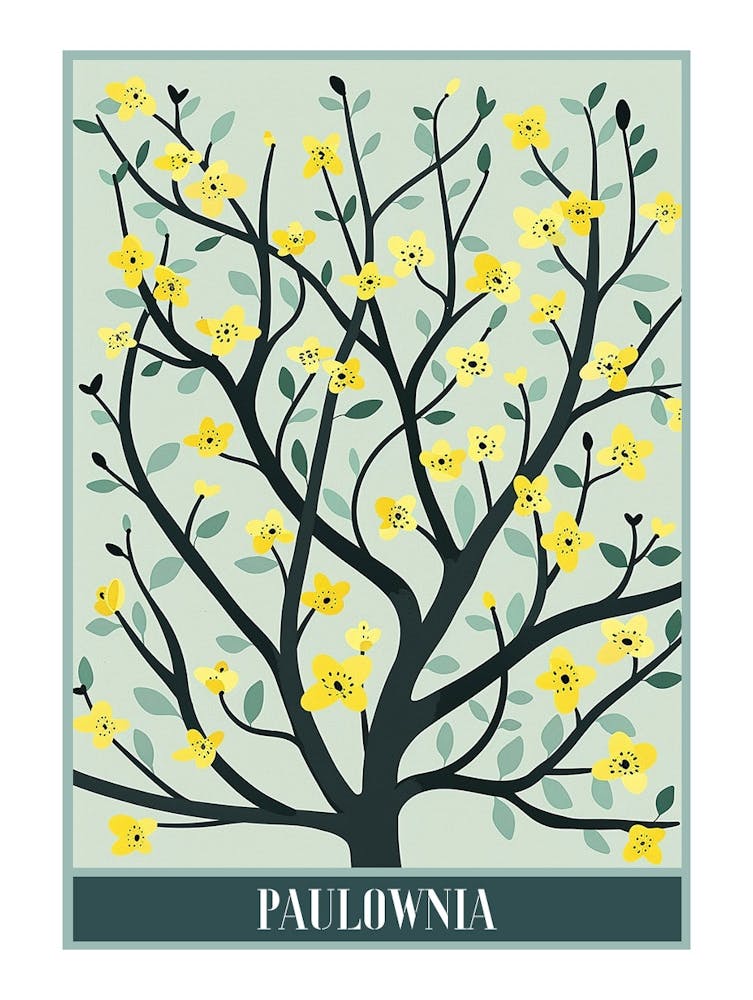 Paulownia Tree Illustration Flat 4 Poster