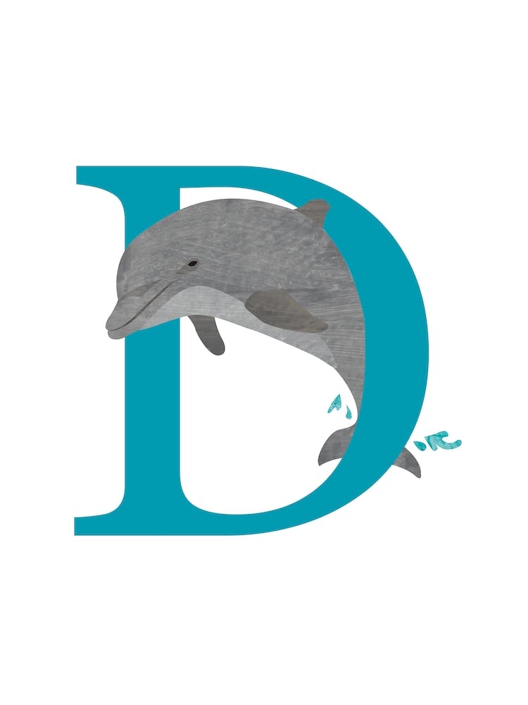 D Comme Dauphin