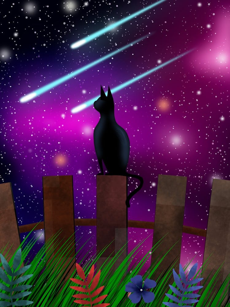 Make a Wish