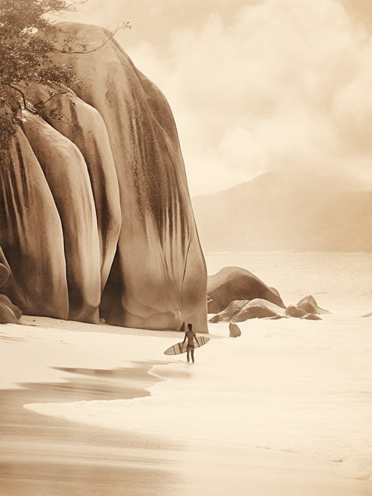 Bohemian Art Of Anse Source D Argent, Seychelles 1