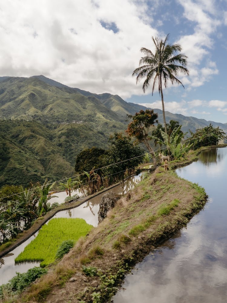 Luplupa, Philippines