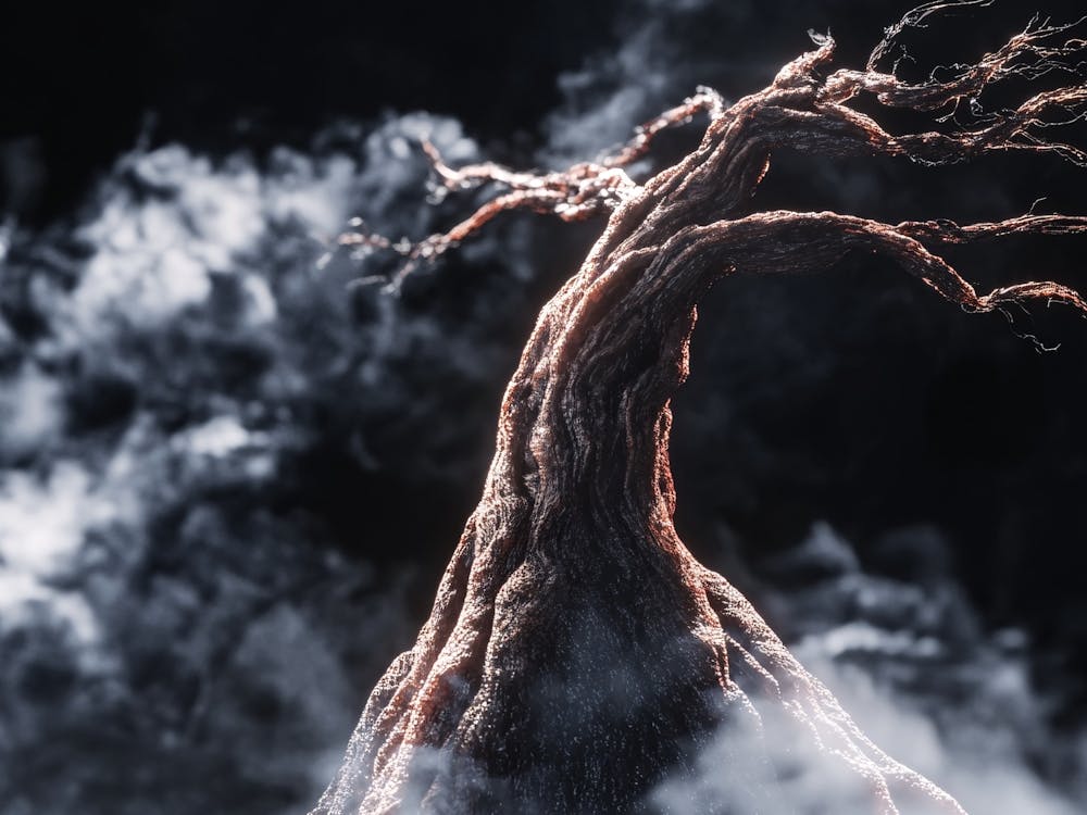 Tree Of Life 31