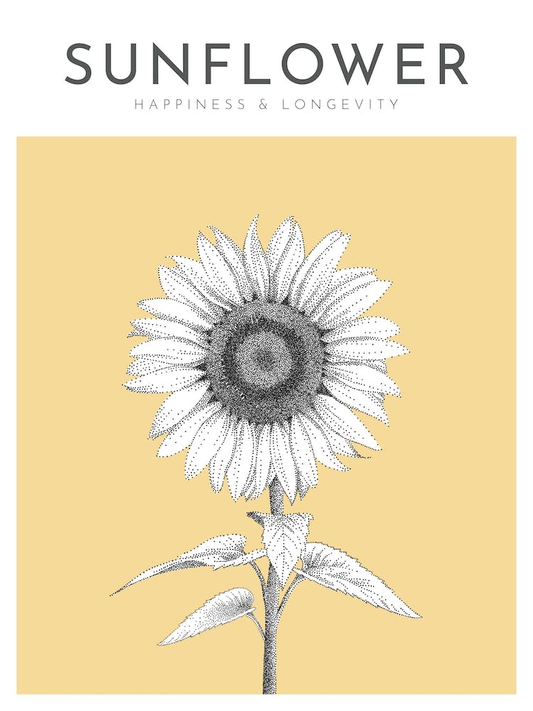 Sunflower Print Modern Flower Poster Bamber Prints