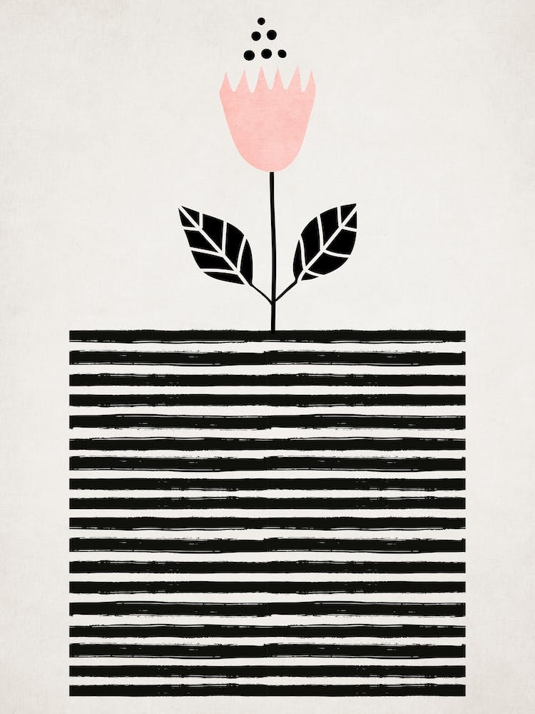 Little Sunshine Flower