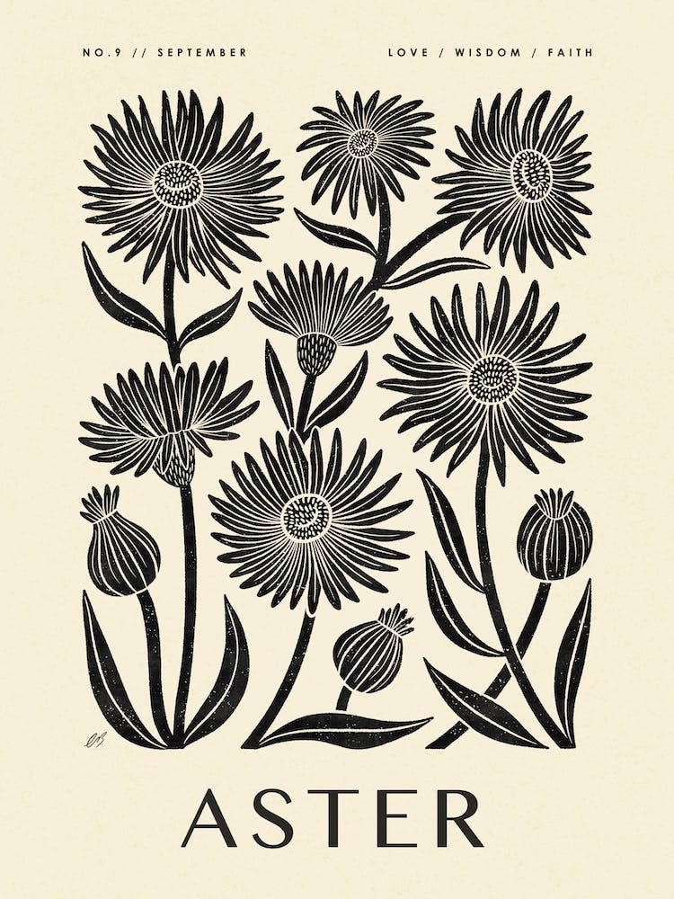 Rustic September Birth Flower Aster Black Cream