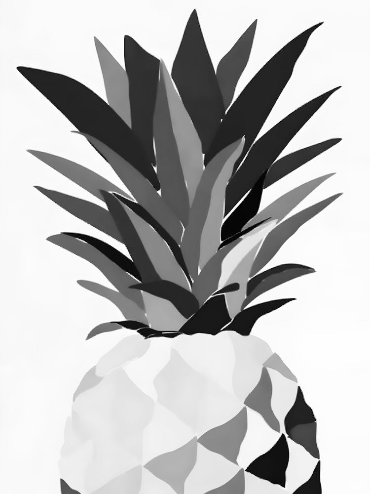Black And White Pineapple