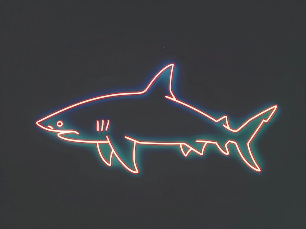 Neon Blacktip Reef Shark 3