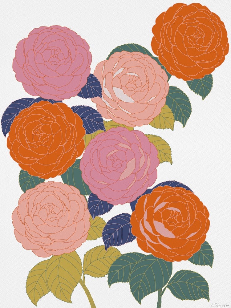 Flowers In Full Bloom