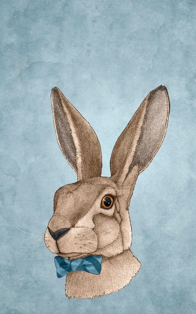 Mr Hare