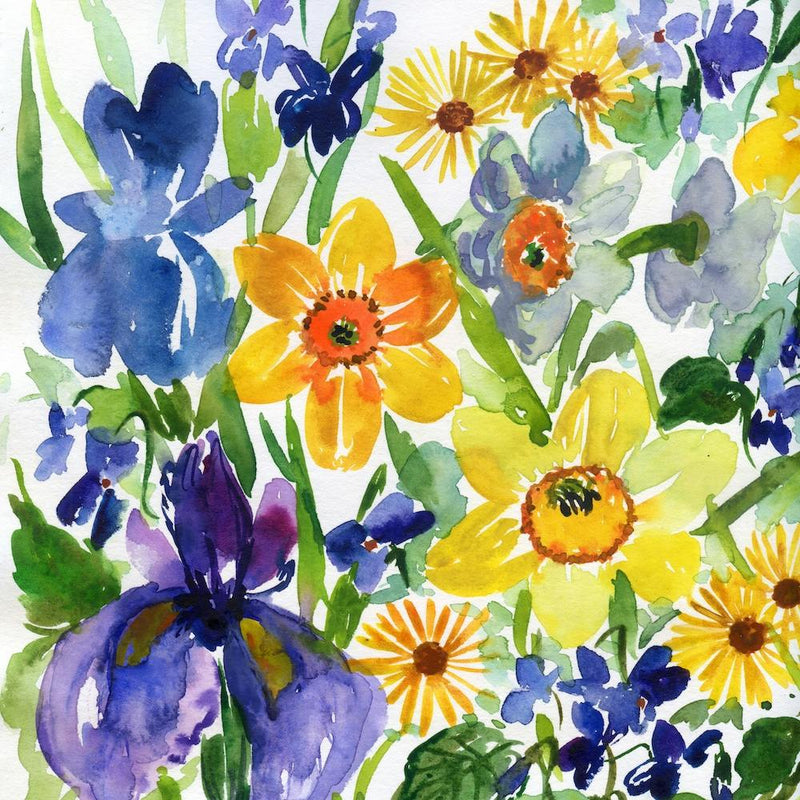 Spring Flowers