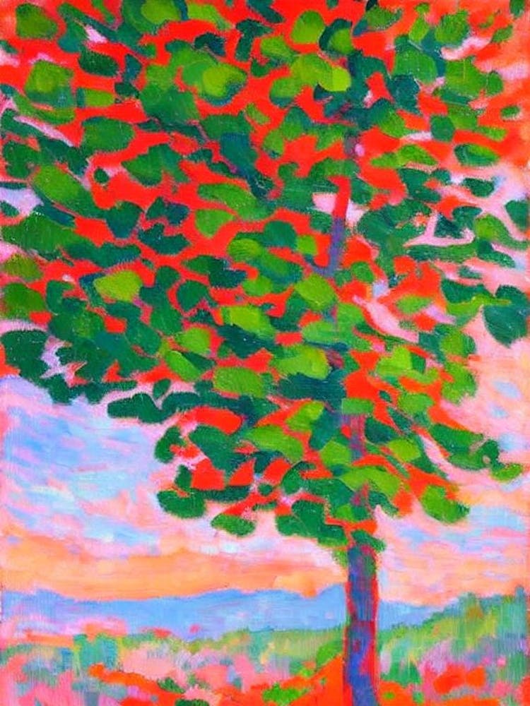 Grand Fir tree Abstract Block Colour