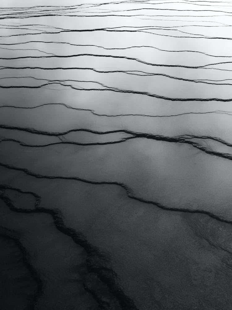Black and white abstract detail shot of Yellowstone National Park