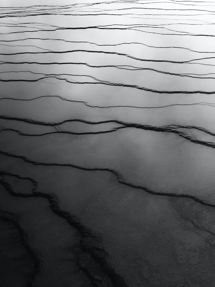 Black and white abstract detail shot of Yellowstone National Park