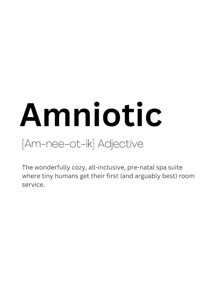 Amniotic Definition Meaning