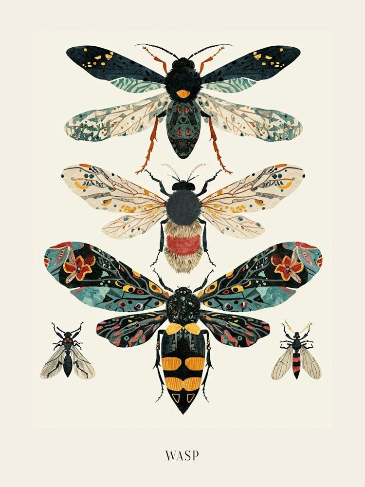Colourful Insect Illustration Wasp 7 Poster