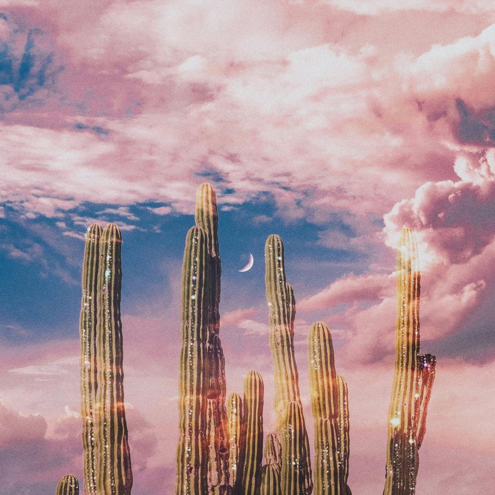 Dreamy Clouds Sparkly Cactus Square