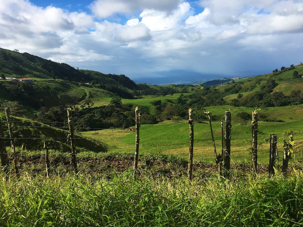 Lush Views in Costa Rica during Rainy Season