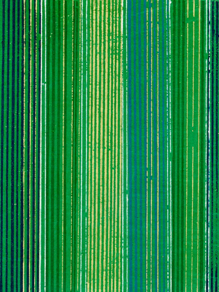 Vintage Ukiyo-e Woodblock Print Of Japanese Textile, Shima Shima, Furuya Korin (15)