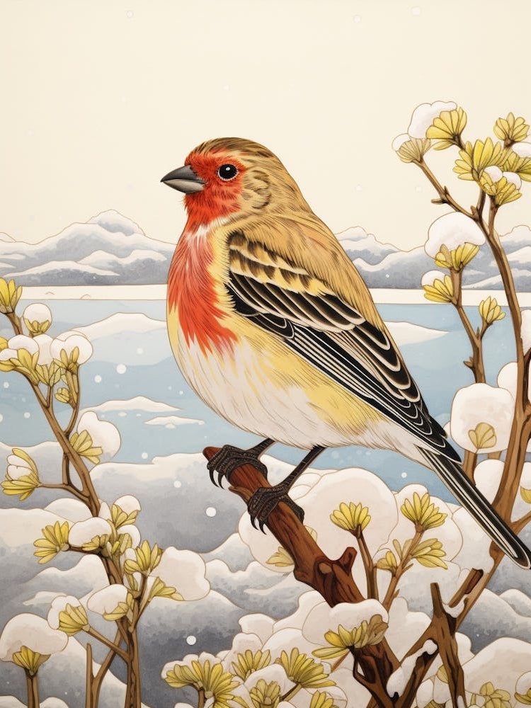 Bird Illustration Finch 3