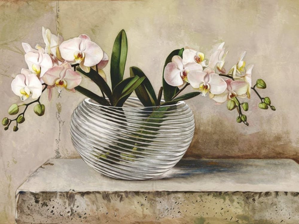 Orchids In A Vase